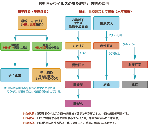 感染 c 型 経路 肝炎