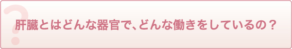 肝臓とはどんな器官で、どんな働きをしているの?