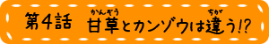 甘草とカンゾウは違う!?